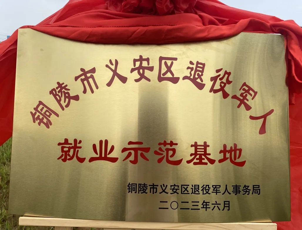 Ҽ����(�й���)���¹ٷ���վ